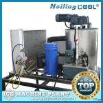 1Ton/day salt water automatic making machine for sea food