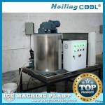 0.5Ton/day Ocean water flake ice plant with ice bin