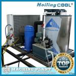 On ship sea water ice maker 2ton /day for fishing