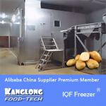 2013 Hot Sale SLD IQF Vegetables Freezer For Potato