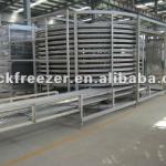 LS 300 single spiral IQF freezer for poultry