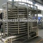 output 500 kg per hour IQF single spiral freezer
