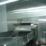 for freezing fruit kind of food and vegetables machine fluidized tunnel freezer