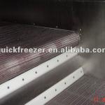 2013 New SDL Series Fluidized Tunnel Freezer