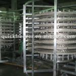 Double Sprial Freezer IQF