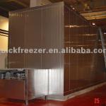 Multi-layer Tunnel Freezer IQF