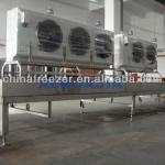 Single Belt Tunnel Freezer with Customized and Modular Design