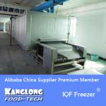 High Quality SSD Tunnel IQF Quick Freezer