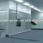 LS series single spiral IQF freezer