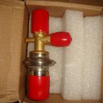 PTV8W Constant Pressure Expansion Valve (Hot gas bypass)