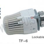 thermostatic valve head with valve