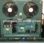 Bitzer Air Cooled Compressor Condensing Unit