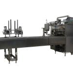 FY-LRDH plastic box filling and sealing machine