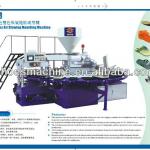 PVC Slipper Air Blowing Moulding Machine HM-188