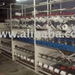 Needle Spindle Crochet Machine