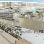 HL 2010 Automatic Silk Reeling Machine