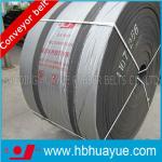 Moulded edge Nylon rubber conveyor belt