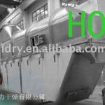 ZLG Vibrating-fluidizing Dryer
