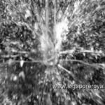 Cleaning in Place Nozzle- Spray Pattern-Delavan Spray Nozzle