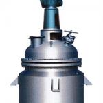 SS304 chemical reactor