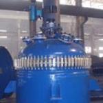 Jacked Glass lined reactor