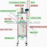 Chemical Glass Reactor-