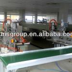 Automatic cotton swab equipment with packing