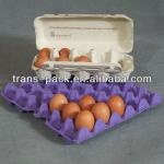 TP-ETEB-A4000 Automatic Rotary Egg Tray Machines