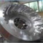 tire shaping mould