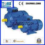 LTP MS Industrial Motor