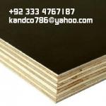 plywood ply wood