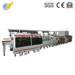 Flexible PCB DES Equipment