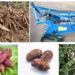 cassava harvester 0086-13523059163